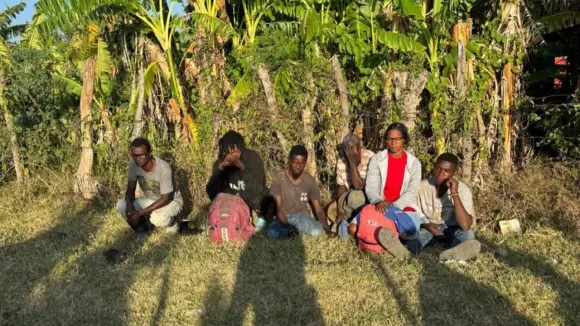 Ejército detiene grupo de haitianos en situación migratoria irregular ocultos en un platanal en Montecristi Ejército detiene grupo de haitianos en situación migratoria irregular ocultos en un platanal en Montecristi