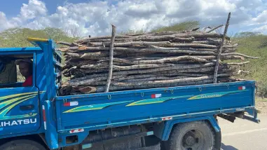 Carga de madera ilegal: un detenido en operativo del Ejército Carga de madera ilegal: un detenido en operativo del Ejército