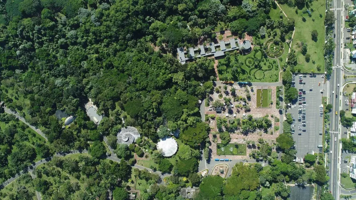 Desafíos ambientales: Bosques urbanos como solución Desafíos ambientales: Bosques urbanos como solución