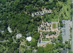 Desafíos ambientales: Bosques urbanos como solución