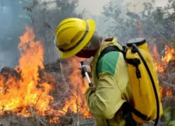 Incendio forestal arrasa bosques en Guantánamo, Cuba