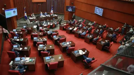 Organizaciones advierten al Senado que el proyecto de Código Penal aprobado por Diputados continúa con graves retrocesos
