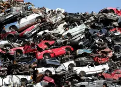 CNTU propone modernizar transporte público mediante sustitución del parque vehicular