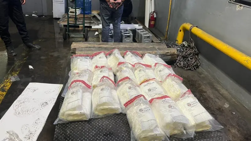 DNCD confisca en aeropuerto Cibao cocaína camuflada en cajas de pescado