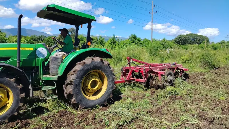Inicia eliminación de cultivos hospederos de mosca blanca y trips en zona agrícola