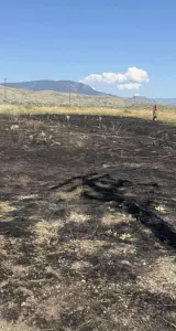 Un pez que cae del cielo causa un incendio en Canadá