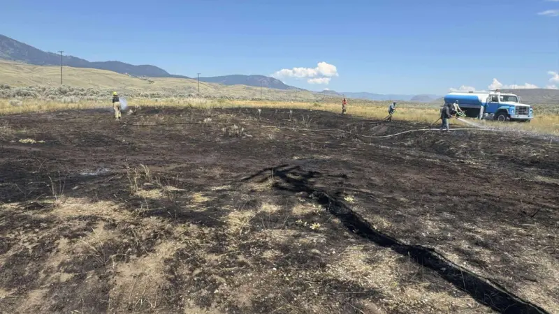 Un pez que cae del cielo causa un incendio en Canadá