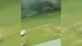 Contaminación y calles intransitables amenazan comunidades de Hato Nuevo y Cambita-Garabitos