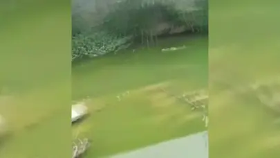 Contaminaci&oacute;n y calles intransitables amenazan comunidades de Hato Nuevo y Cambita-Garabitos