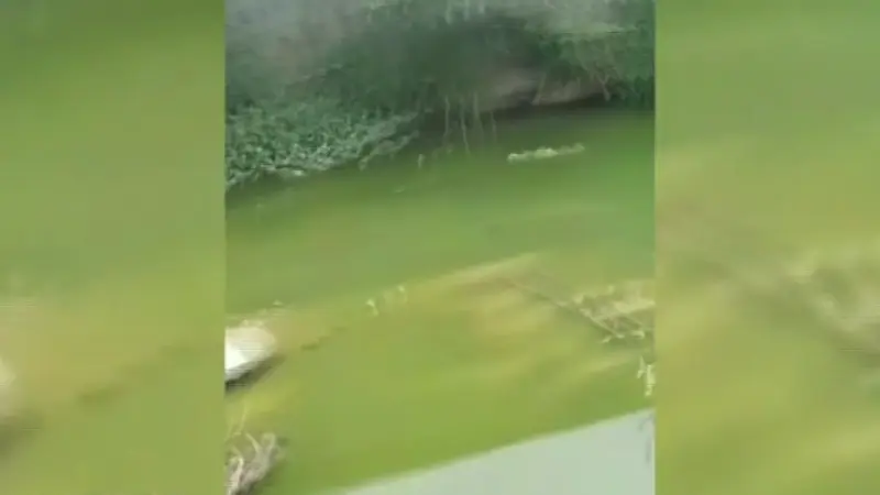 Contaminación y calles intransitables amenazan comunidades de Hato Nuevo y Cambita-Garabitos