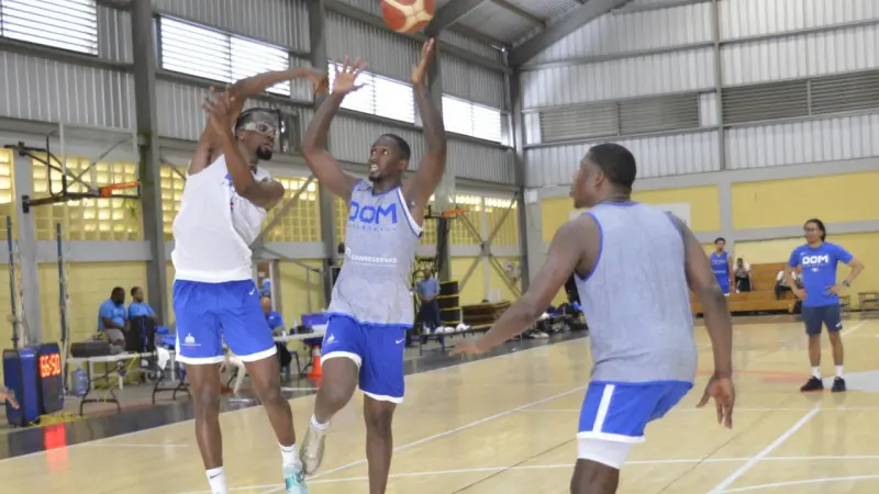 Delgado y Suero, enfocados en la preparación del equipo nacional de baloncesto para el AmeriCup