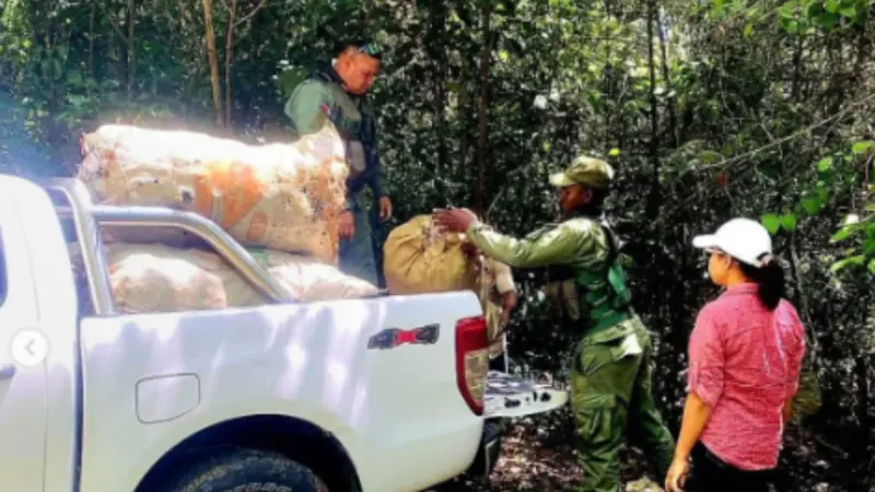 SENPA y Medio Ambiente intensifican operativos simultáneos en defensa de los recursos naturales