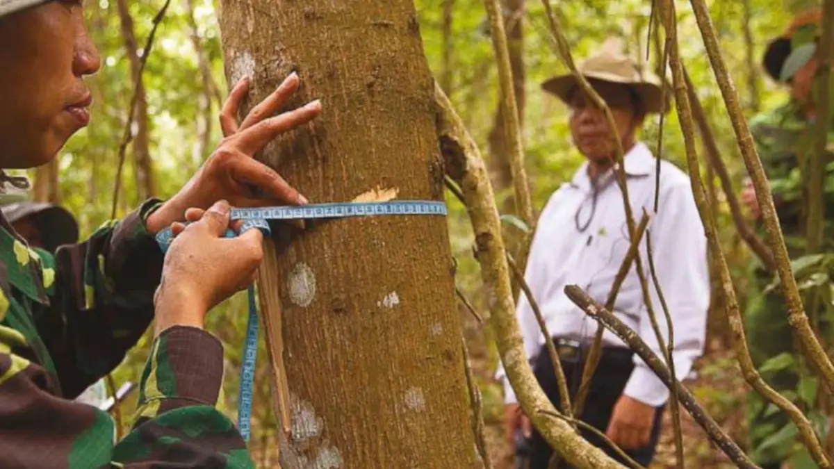 ¿Cuáles son los cinco países más peligrosos para ser defensor ambiental en Latinoamérica?