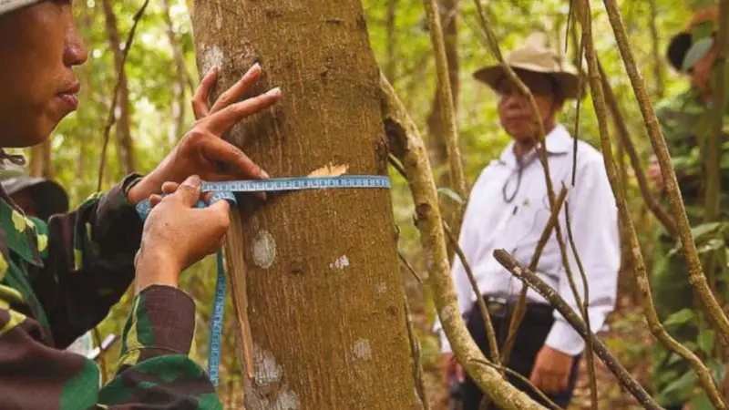 ¿Cuáles son los cinco países más peligrosos para ser defensor ambiental en Latinoamérica?