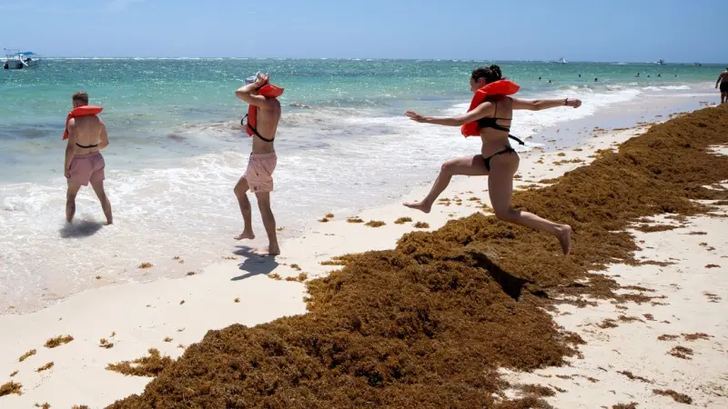 Prostitución y turismo: la curiosa historia de por qué el gobierno sacó la visa a los visitantes dominicanos, según Clarín de Argentina