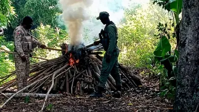SENPA y Medio Ambiente realizan operativos contra delitos ambientales: detienen a varias personas