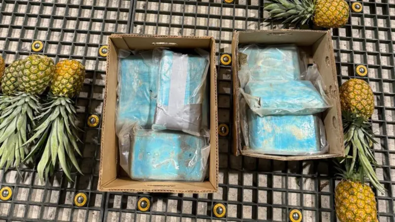 DNCD frustra envío de 30 paquetes presumiblemente cocaína a Alemania