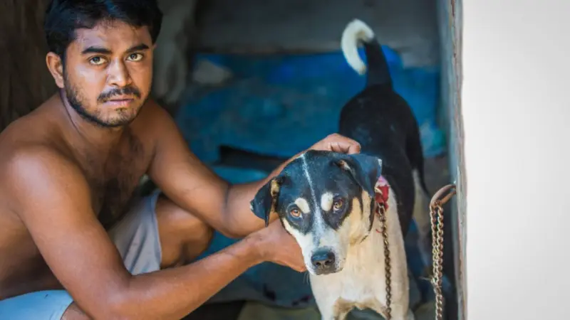 La guerra de los perros en la India: un enfrentamiento entre la rabia y la compasión