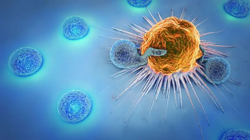 Los pacientes de inmunoterapia y terapias dirigidas tienen menos riesgo de un nuevo tumor