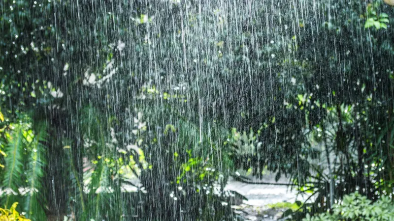 Vaguada y onda tropical provocarán lluvias; Erin se mueve hacia el oeste/noroeste