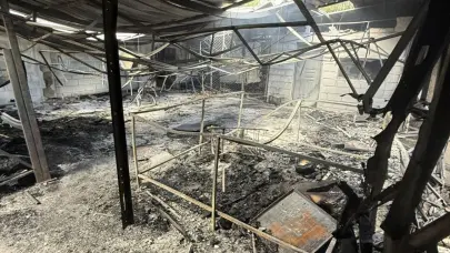 Empresaria dominicana pide ayuda tras perderlo todo en un incendio