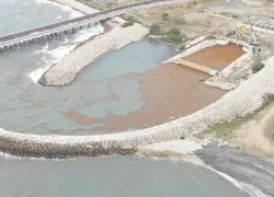 Unidad 1 de Punta Catalina sale de operación por obstrucción de sargazo