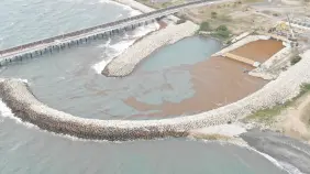 Unidad 1 de Punta Catalina sale de operación por obstrucción de sargazo