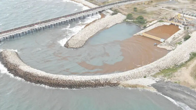 Unidad 1 de Punta Catalina sale de operación por obstrucción de sargazo