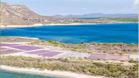 Cambio climático en la República Dominicana: reporte lanza advertencia y exige acción inmediata