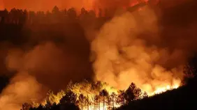 España continúa lucha contra incendios que ya arrasaron más de 380,000 hectáreas