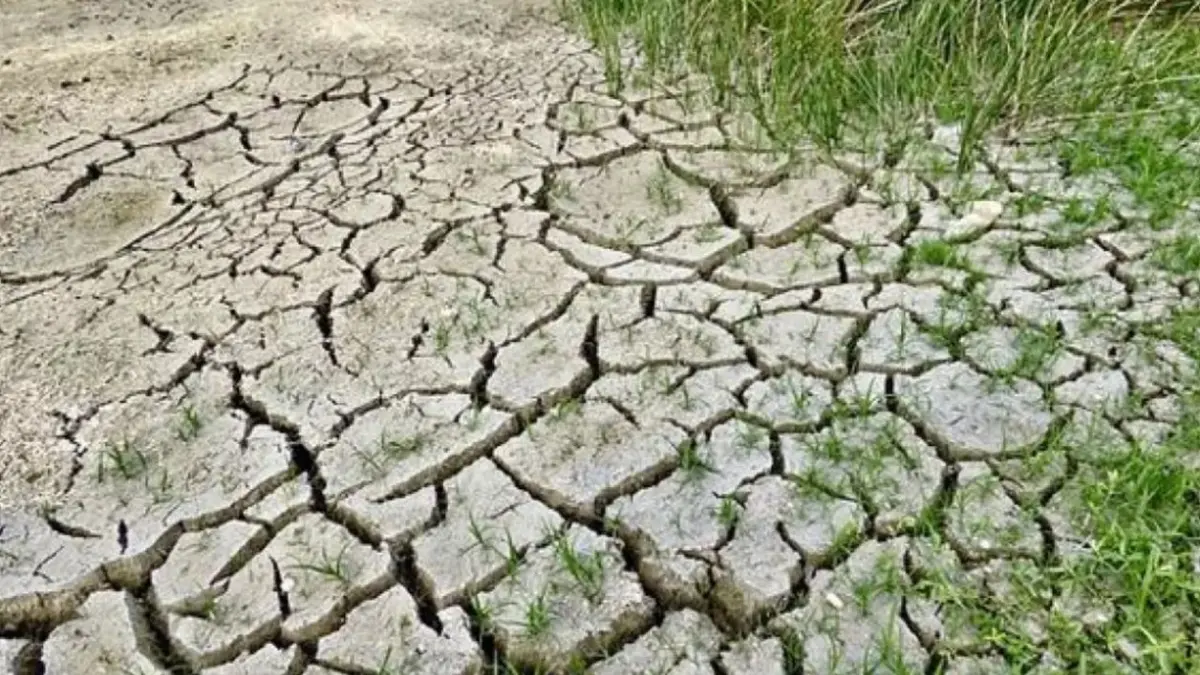 RD enfrenta severo riesgo de desertificación: 70 % de su territorio en peligro