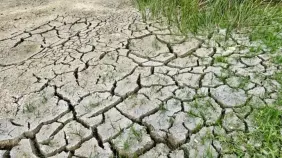 RD enfrenta severo riesgo de desertificación: 70 % de su territorio en peligro