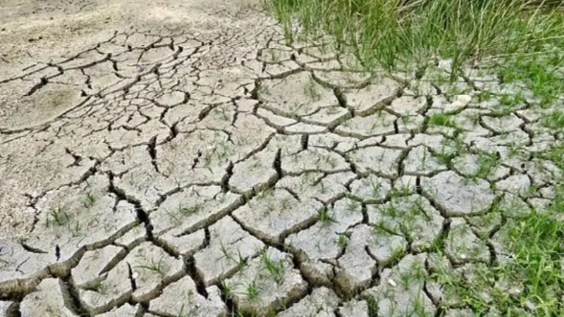 República Dominicana enfrenta severo riesgo de desertificación: 70 % de su territorio en peligro