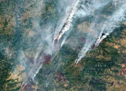 La magnitud de la crisis de los incendios forestales vista por los satélites Copernicus
