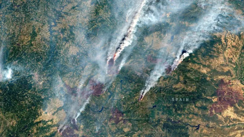 La magnitud de la crisis de los incendios forestales vista por los satélites Copernicus