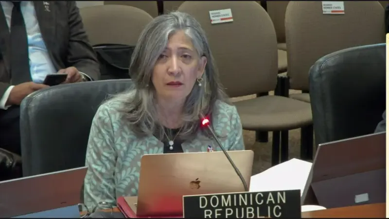 RD reitera en la OEA su apoyo a Haití y pide garantizar la seguridad como base para la estabilización