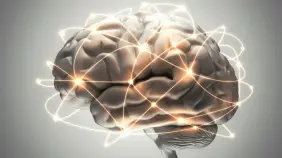 El mapa que el cerebro tiene de nuestro cuerpo no cambia tras una amputación