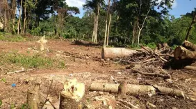 ¿Está en riesgo la tierra dominicana? Degradación de suelos, pérdida forestal y cambio climático en RD