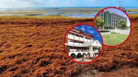 UFHEC y Universidad de Roma se unen para investigar el potencial biomédico del sargazo