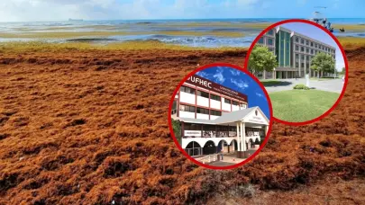 UFHEC y Universidad de Roma se unen para investigar el potencial biom&eacute;dico del sargazo