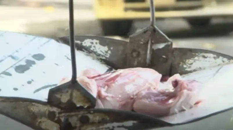 Libra de pollo cuesta entre 85 y 100 pesos en mercados