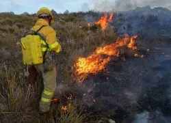 Controlado un incendio que consumió 1,485 hectáreas de un parque nacional de Ecuador