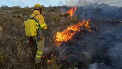 Controlado un incendio que consumió 1,485 hectáreas de un parque nacional de Ecuador