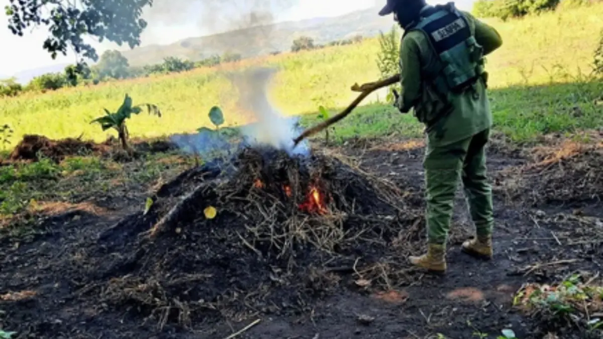 SENPA y Medio Ambiente refuerzan operativos contra ilícitos ambientales en distintas provincias