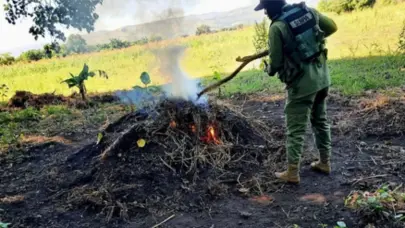 SENPA y Medio Ambiente refuerzan operativos contra ilícitos ambientales en distintas provincias