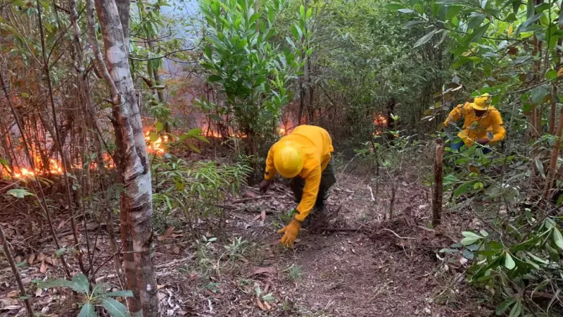 Medio Ambiente informa que incendio en Loma del Oro quedó totalmente controlado