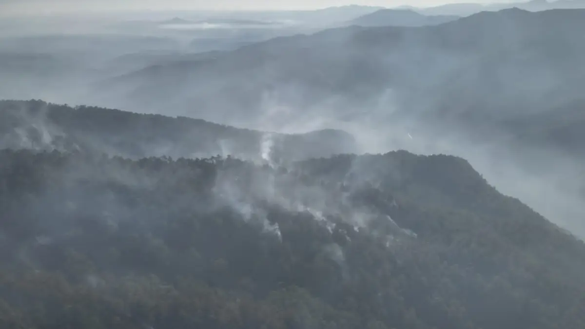 Medio Ambiente informa que incendio en Loma del Oro quedó totalmente liquidado