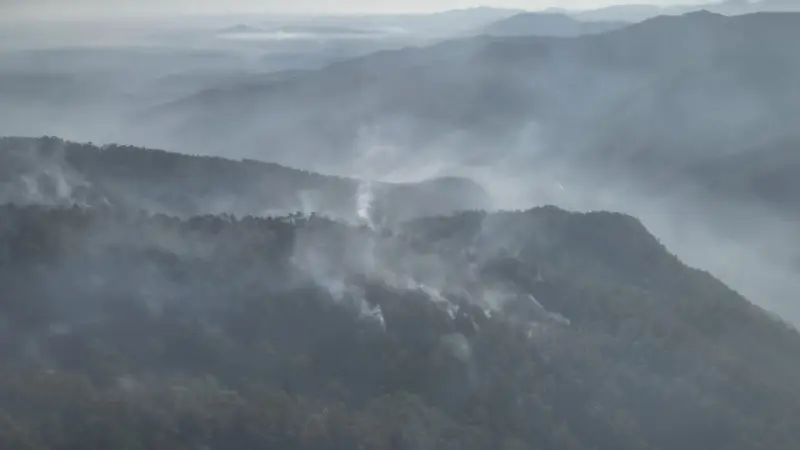 Medio Ambiente informa que incendio en Loma del Oro quedó totalmente liquidado