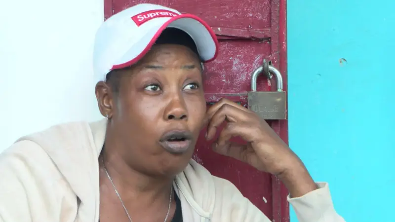 "Perdí un freezer lleno de helados": Apagones azotan pequeños negocios en Los Frailes