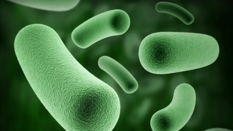Las infecciones de bacteria ´come carne´ en Luisiana (EEUU) se disparan y dejan 6 muertos